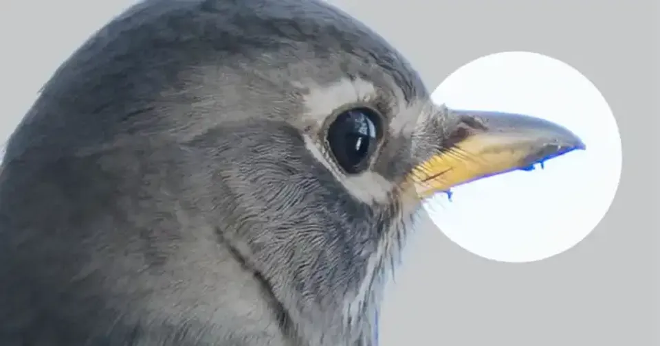 ¿Qué es la aberración cromática? ¿Cómo lidiar con el desenfoque de color?