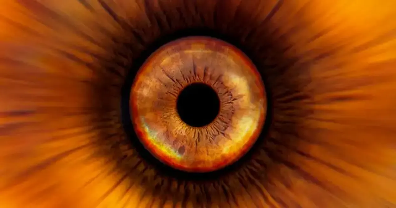 Cómo fotografiar tu propio ojo