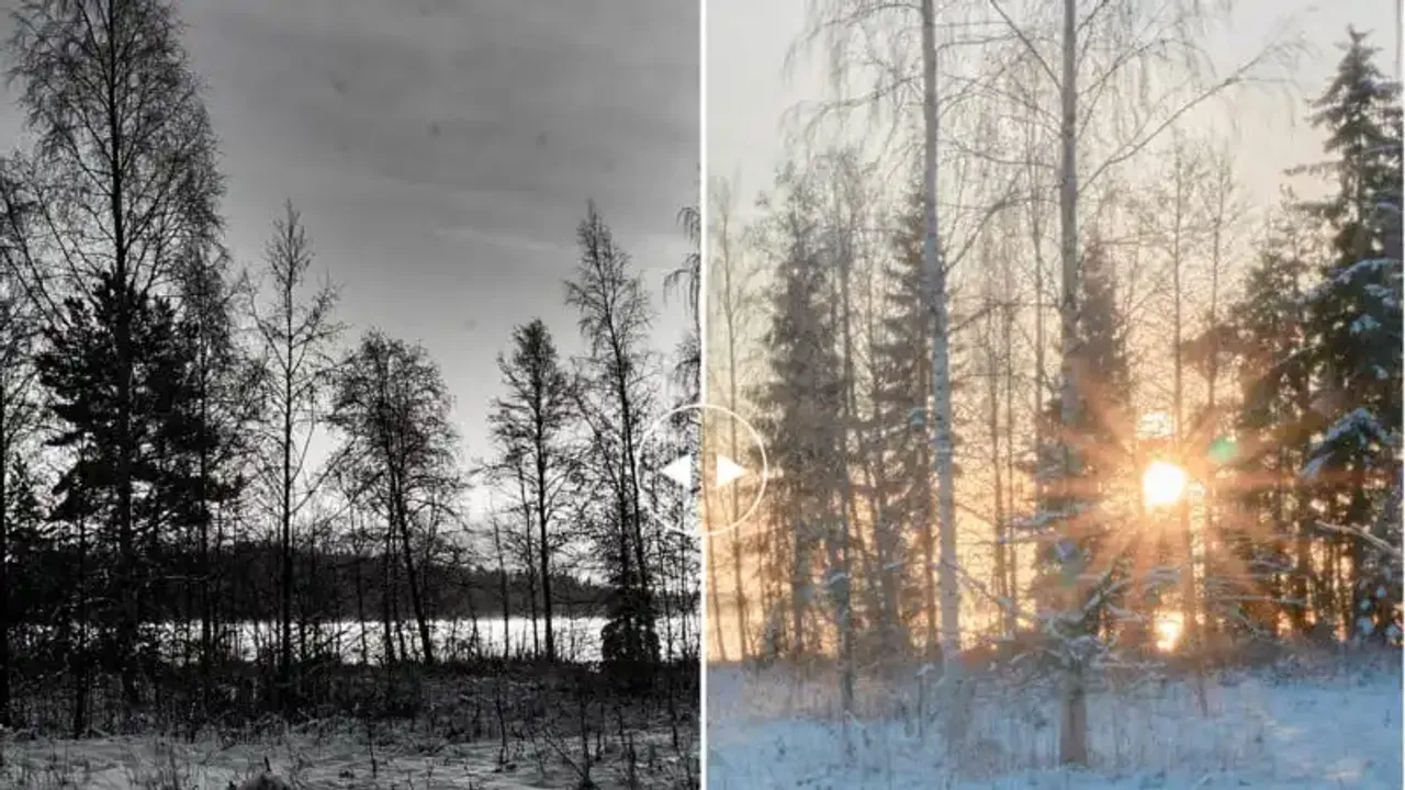 Cómo revelar y eliminar manchas de polvo en Capture One Pro.