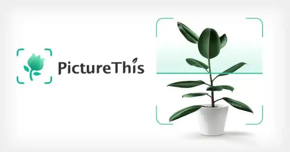 PictureThis: La mejor aplicación de cámara para identificar plantas.