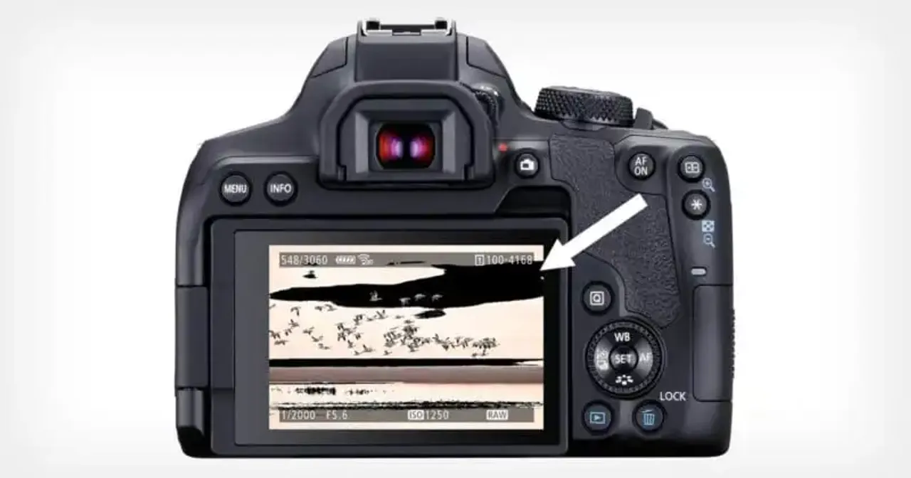 ¿Qué son los Blinkies en la fotografía y realmente importan?