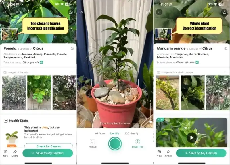 PictureThis: La mejor aplicación de cámara para identificar plantas.