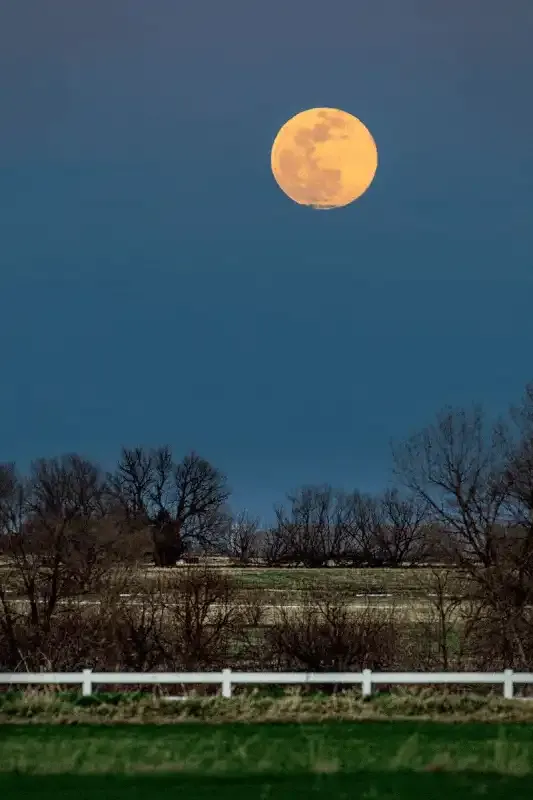 Limpieza de imágenes: Cómo eliminar fácilmente objetos de tus fotos.