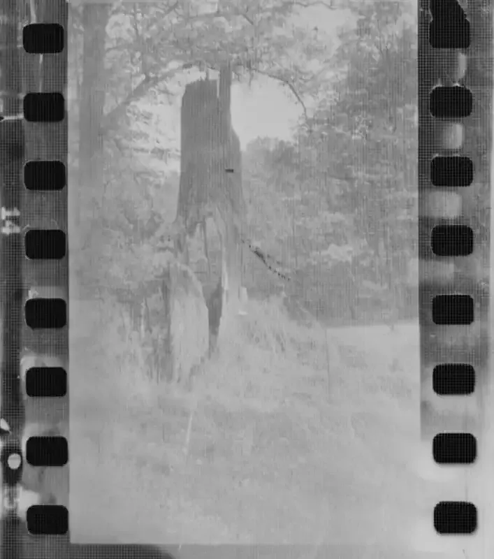 Caffenol: Una guía para revelar películas en blanco y negro con café.