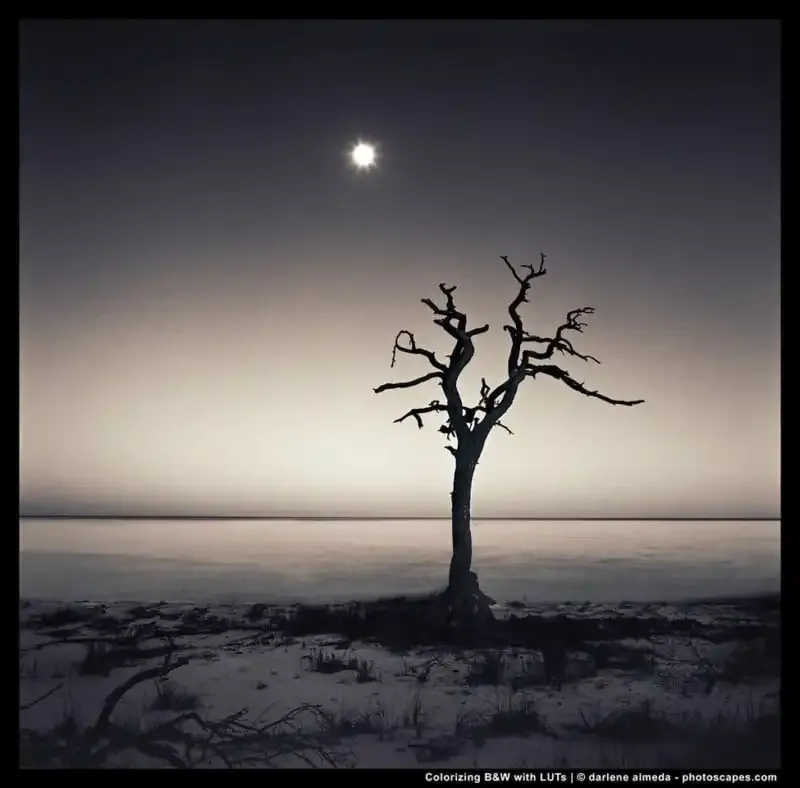 Cómo utilizar el sistema de zonas en fotografía