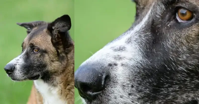 Cómo arreglar imágenes borrosas y tomar fotos bien enfocadas.