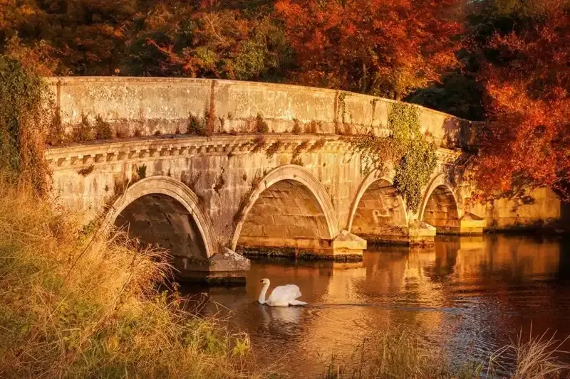 Una Guía para las Condiciones de Iluminación y Clima en la Fotografía