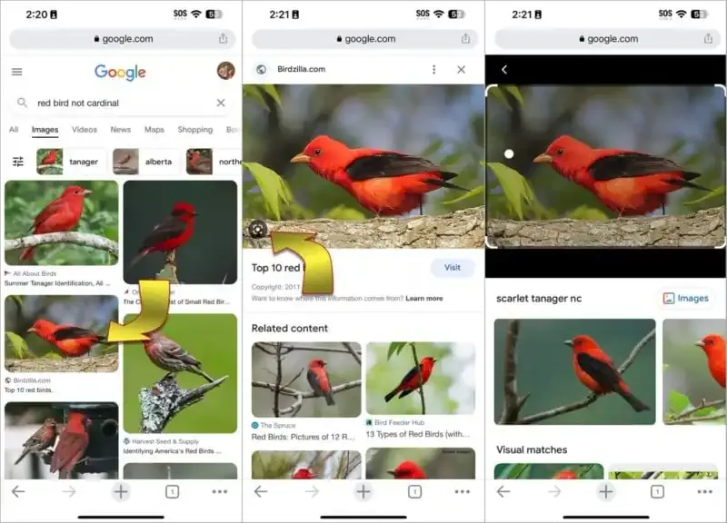 Cómo realizar una búsqueda inversa de imágenes en iPhone.