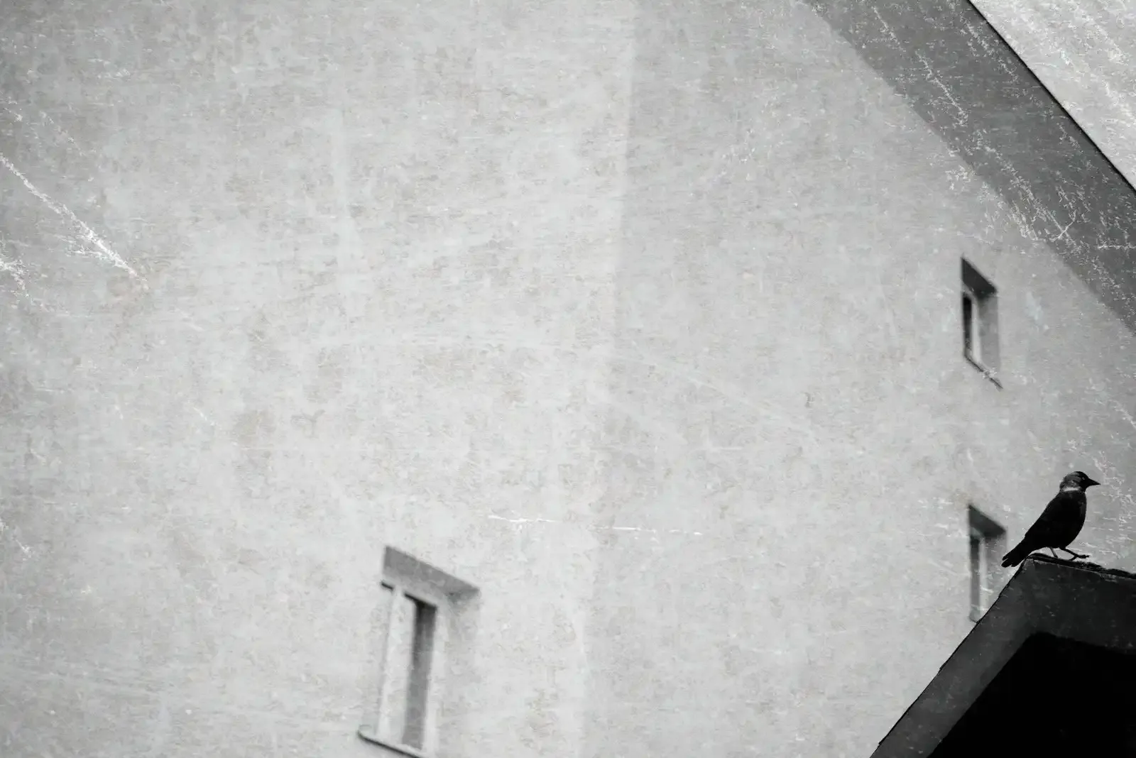 Fotografía callejera: Una guía completa.