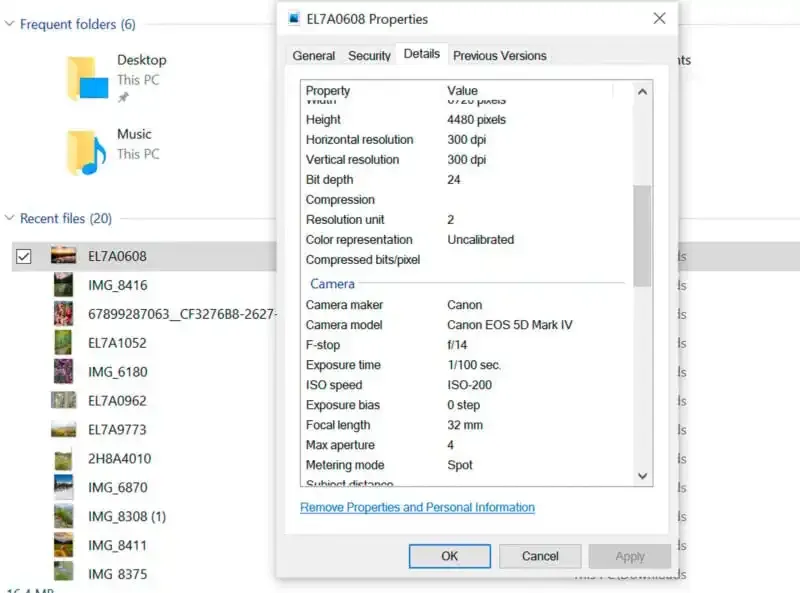 ¿Qué es la información EXIF en las fotos digitales?