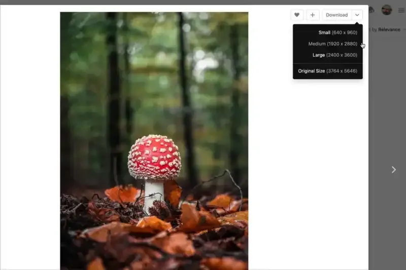 Unsplash: ¿Qué es y cómo funciona?