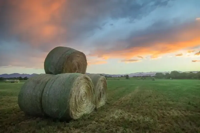 ¿Qué es el Focus Peaking? Una guía para la ayuda de enfoque manual.