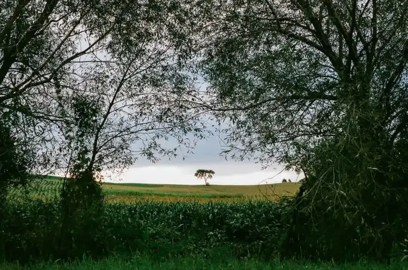 'Frame Within a Frame: Enmarcado natural para mejores composiciones fotográficas'