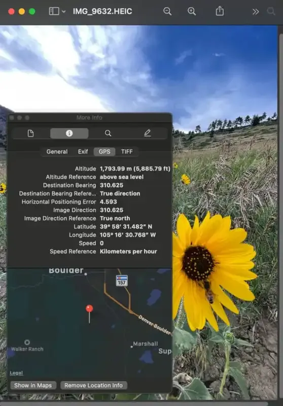 ¿Qué es la información EXIF en las fotos digitales?