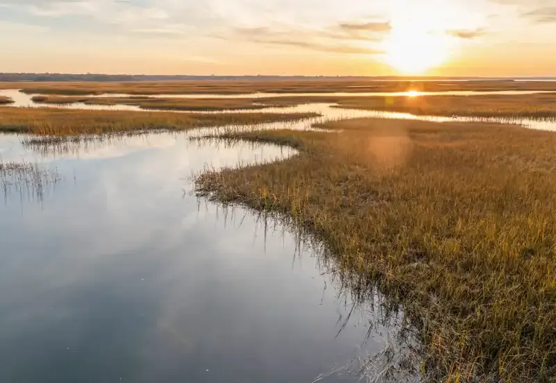 Halo de luz en la fotografía: Una guía completa.