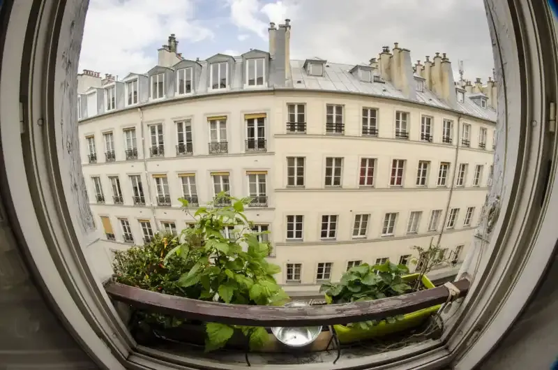 Explicación de la Profundidad de Campo