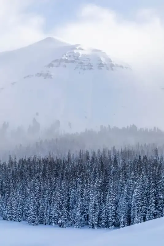 ¿Qué es el balance de blancos en fotografía?