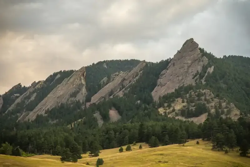 Cómo funciona el enfoque automático en fotografía