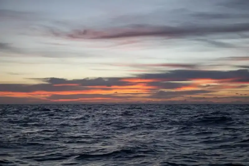 Hora Dorada: Cuando la luz del sol es cálida y las fotos son mágicas.