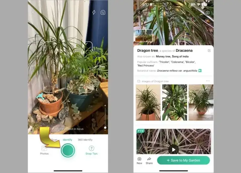 PictureThis: La mejor aplicación de cámara para identificar plantas.