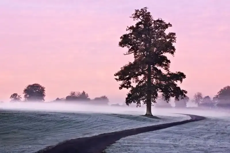 Una Guía para las Condiciones de Iluminación y Clima en la Fotografía