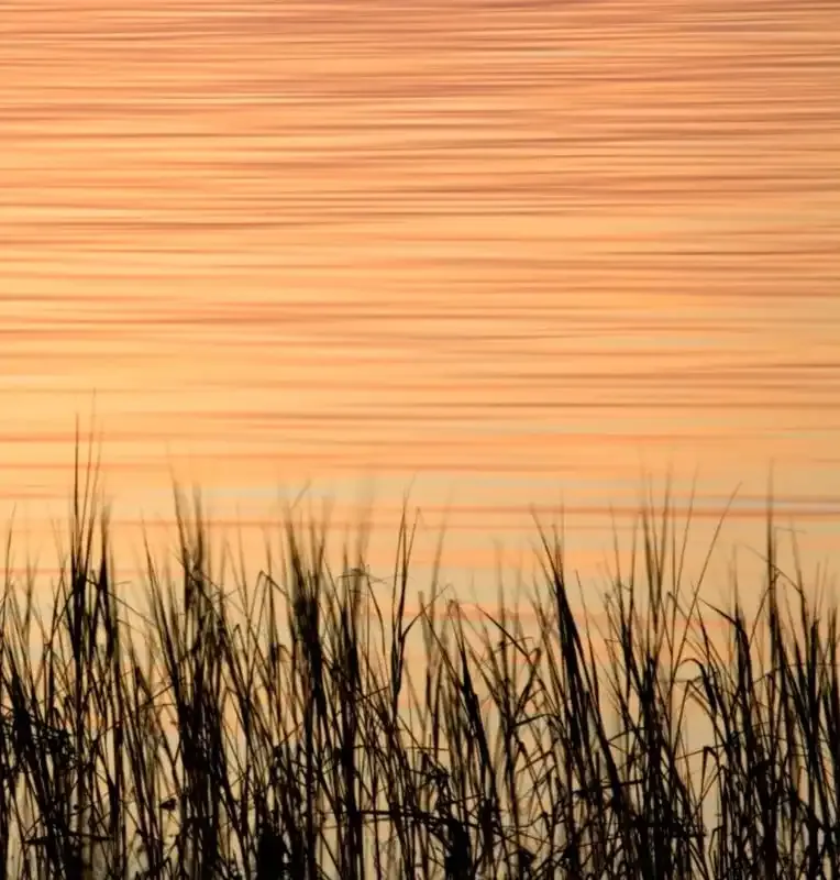 Líneas guías en la fotografía: una guía completa.