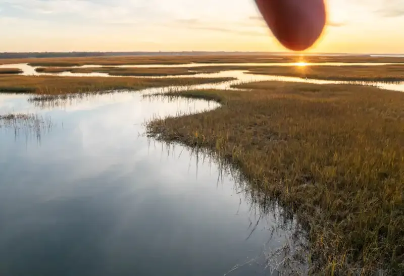 Halo de luz en la fotografía: Una guía completa.