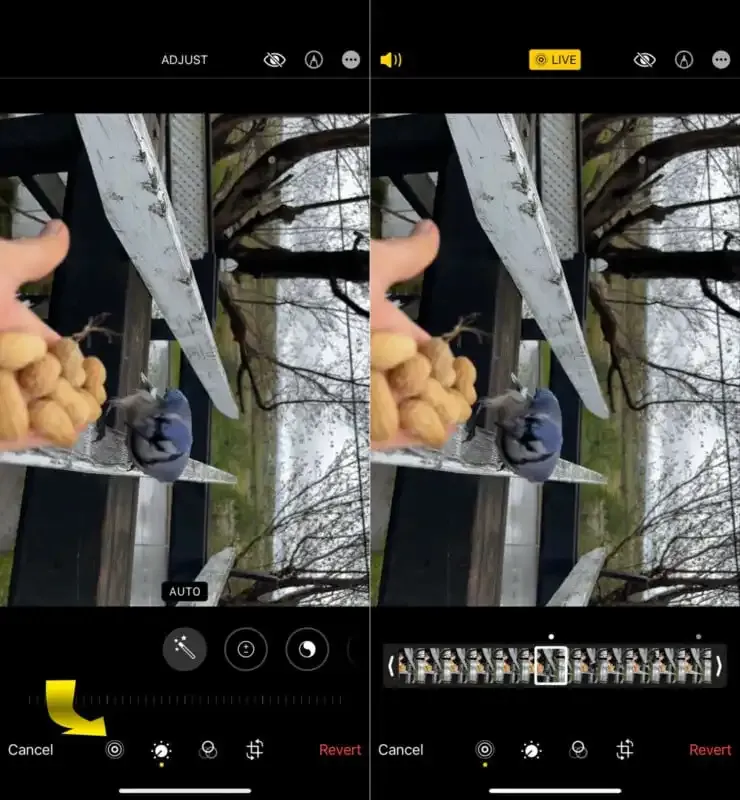 Cómo convertir un video en una foto en movimiento