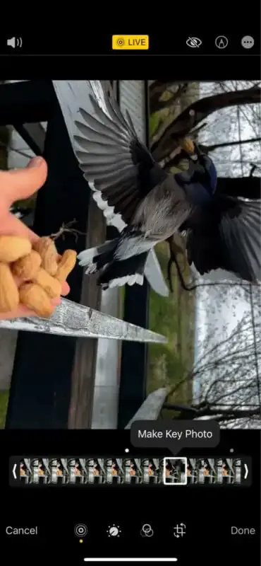 Cómo convertir un video en una foto en movimiento