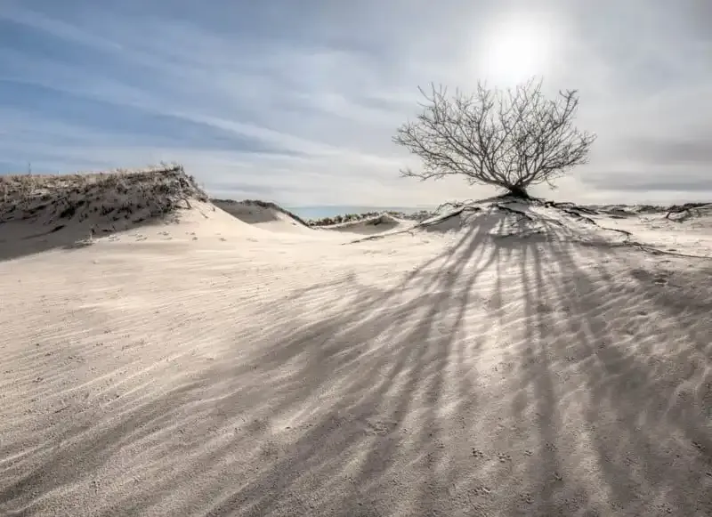 Líneas guías en la fotografía: una guía completa.