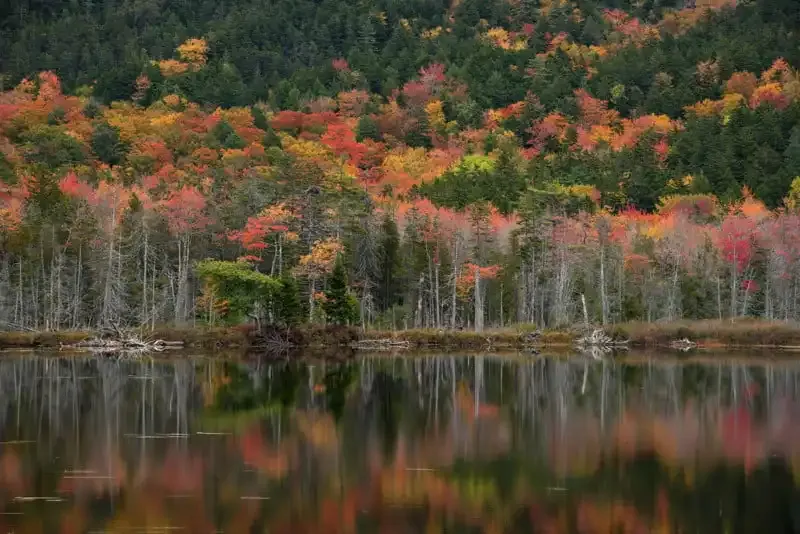 Fotografía de paisajes: La guía definitiva