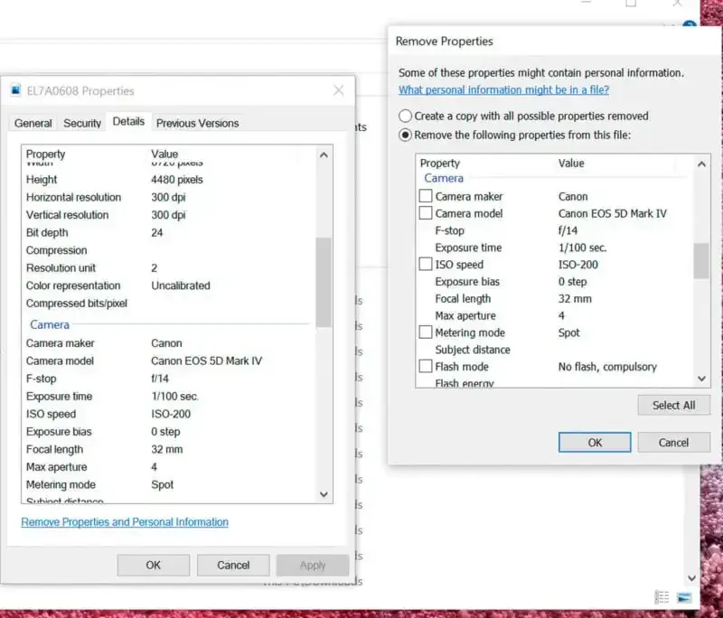 ¿Qué es la información EXIF en las fotos digitales?