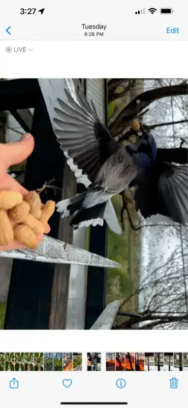 Cómo convertir un video en una foto en movimiento