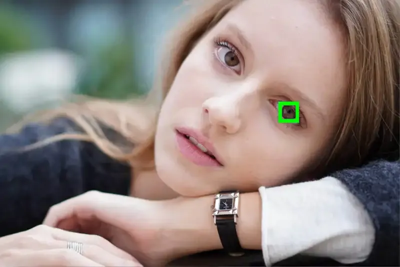 Cómo funciona el enfoque automático en fotografía