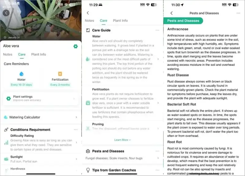 PictureThis: La mejor aplicación de cámara para identificar plantas.