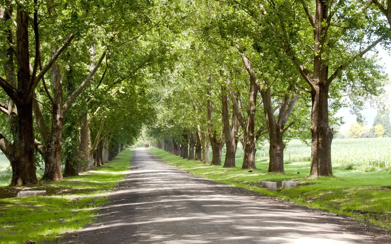 Cómo empezar en la fotografía