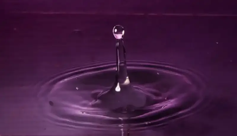 Velocidad de obturación en fotografía: Una guía completa