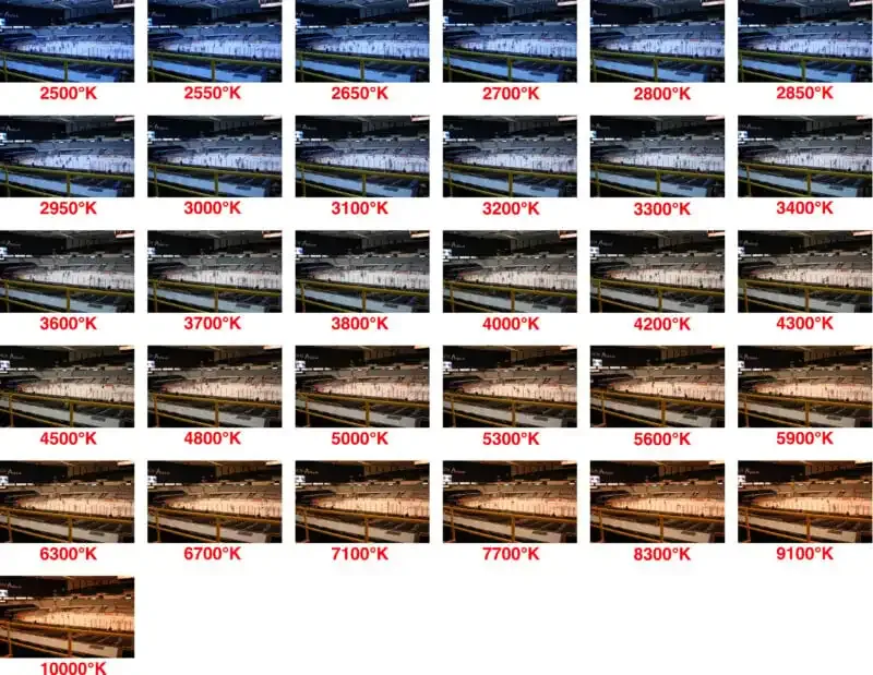 ¿Qué es el balance de blancos en fotografía?