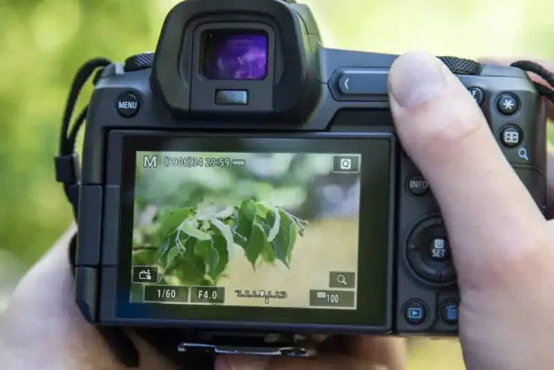 ¿Qué es el Focus Peaking? Una guía para la ayuda de enfoque manual.