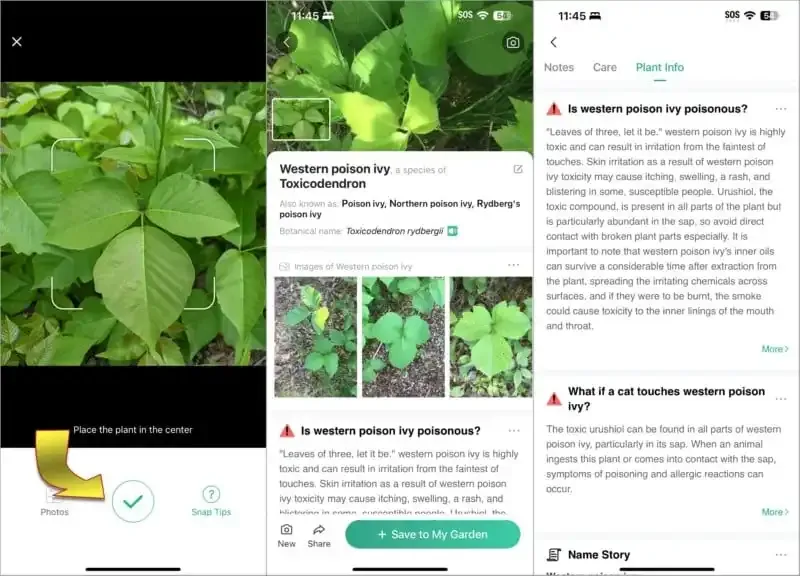 PictureThis: La mejor aplicación de cámara para identificar plantas.