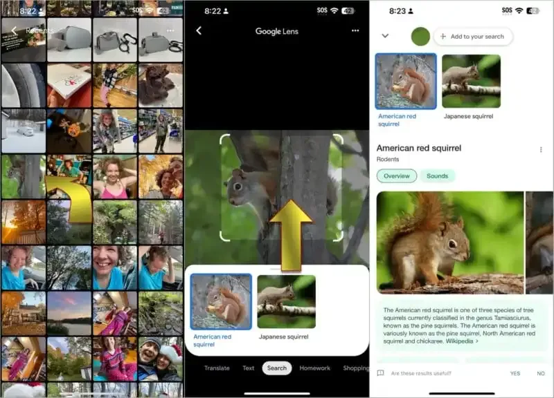 Cómo realizar una búsqueda inversa de imágenes en iPhone.