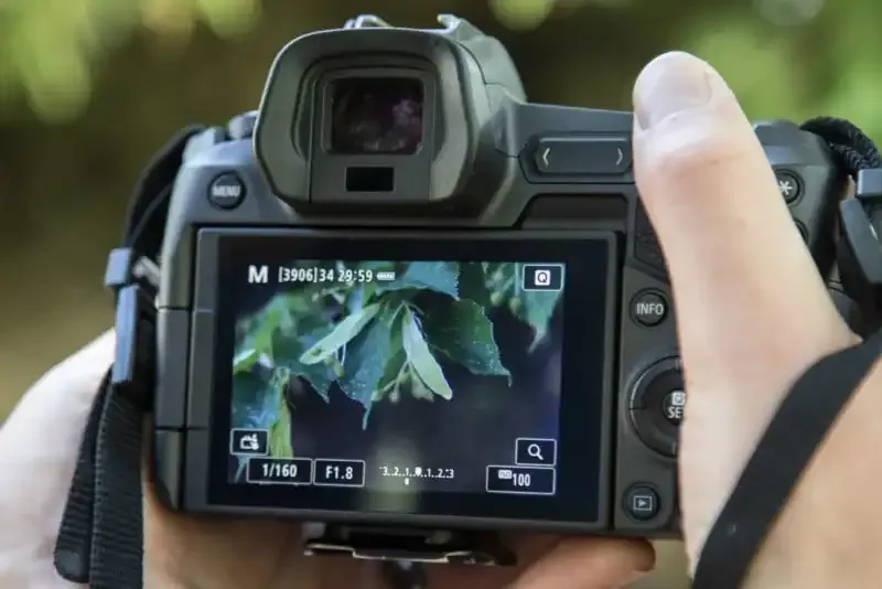 ¿Qué es el Focus Peaking? Una guía para la ayuda de enfoque manual.