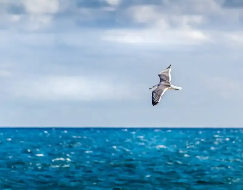Espacio negativo: cómo agregar algo sin nada