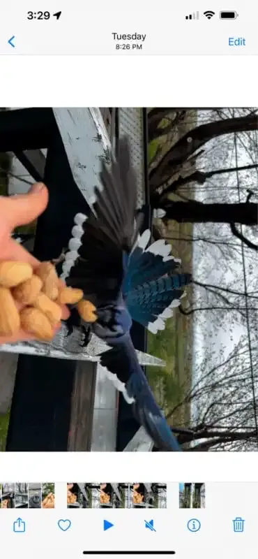 Cómo convertir un video en una foto en movimiento