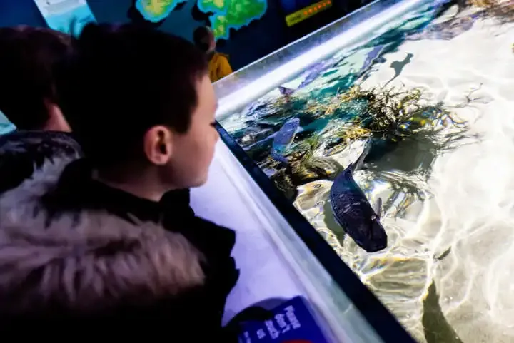 Cómo tomar mejores fotos de tus hijos