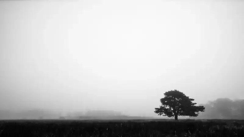 Espacio negativo: cómo agregar algo sin nada