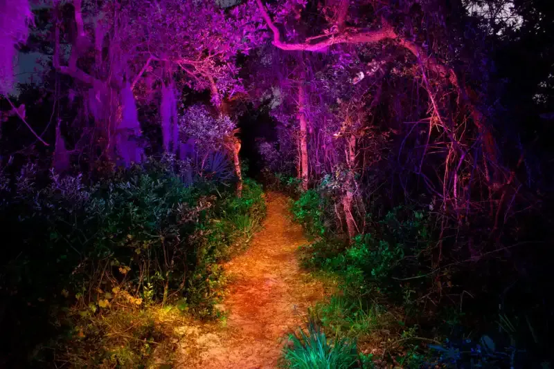 "Light Painting: Una Guía Completa"