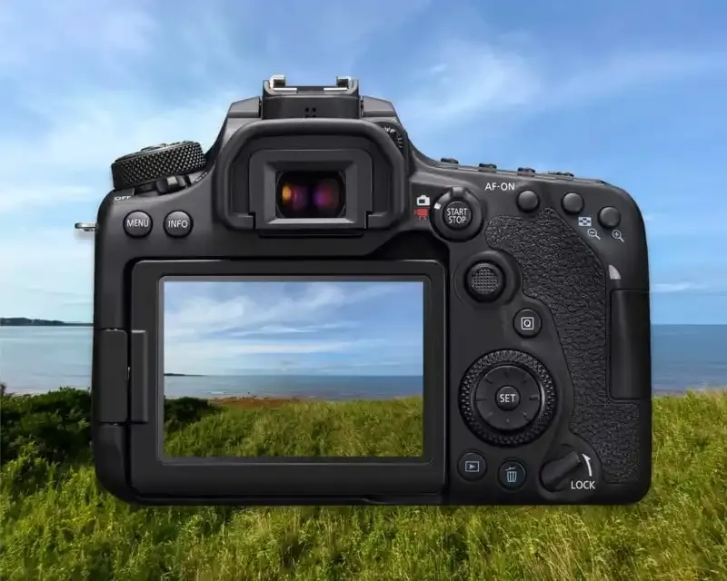 ¿Qué es un JPEG? Todo lo que necesitas saber.