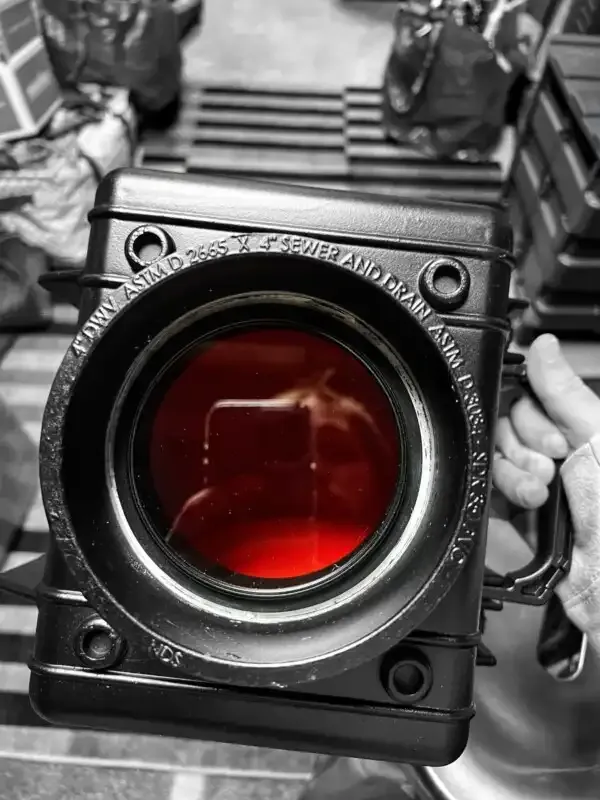 Cómo construir una trampa de cámara DIY para una increíble fotografía de vida silvestre.