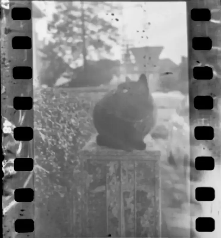 Caffenol: Una guía para revelar películas en blanco y negro con café.